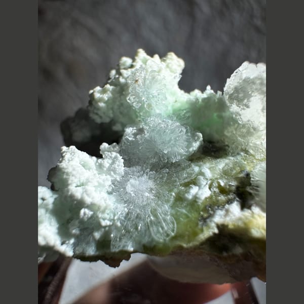 Blue-Green Creedite with Lavender Flowers 4.0 cm — detail view
