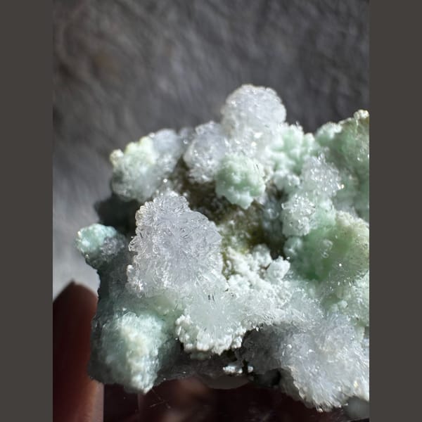Blue-Green Creedite with Lavender Flowers 4.0 cm — detail view