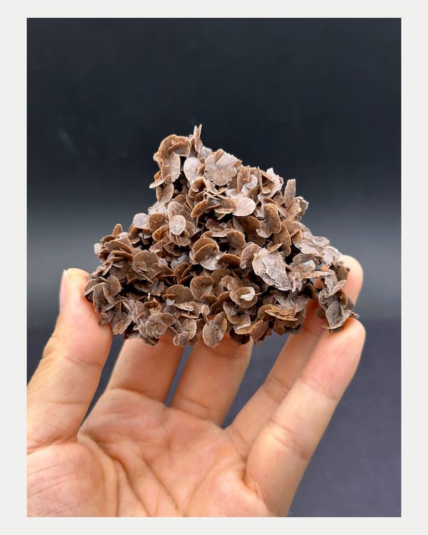 Complete front face of chocolate-toned double-sided calcite
