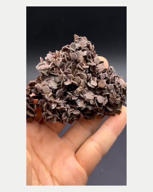 Complete reverse oblique view of chocolate-toned calcite cluster
