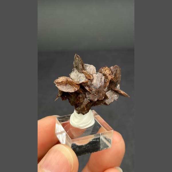 Chocolate-brown bladed calcite from Guangdong — complete view