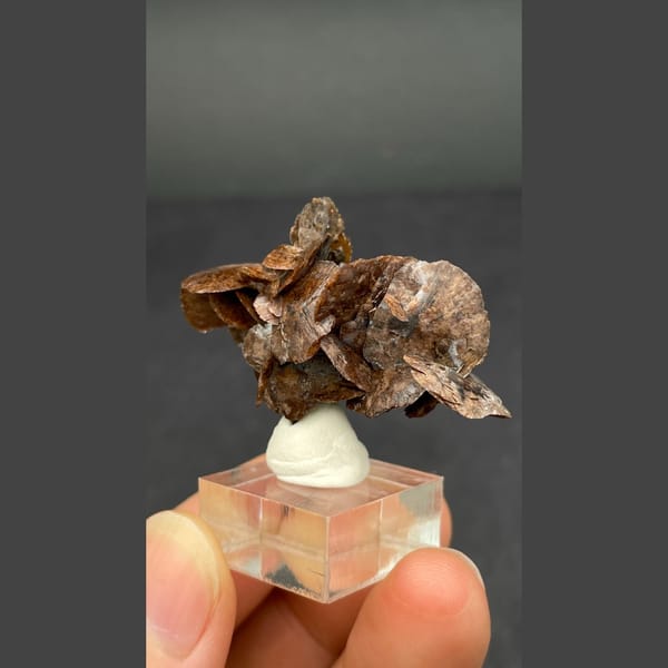 Chocolate-brown bladed calcite from Guangdong — alternate view