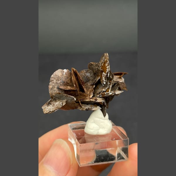Chocolate-brown bladed calcite from Guangdong — alternate view