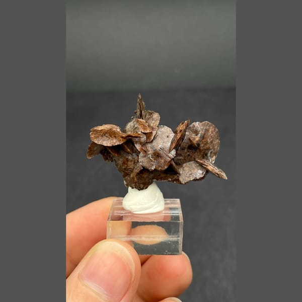 Chocolate-brown bladed calcite from Guangdong — detail view