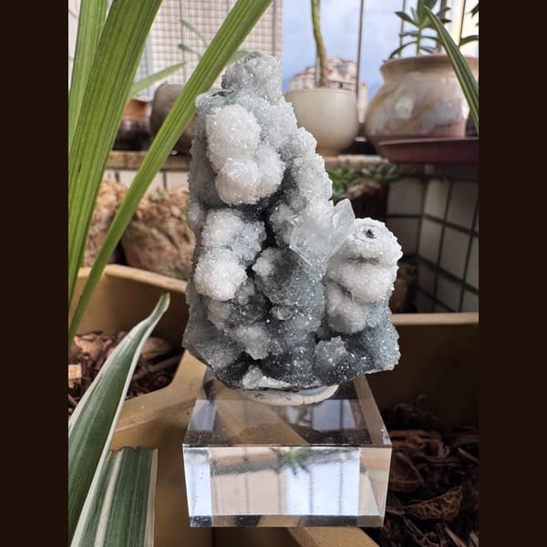 White Apophyllite with Quartz India 7.0 cm — complete view