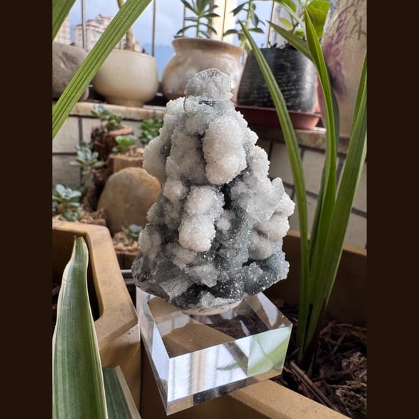 White Apophyllite with Quartz India 7.0 cm — alternate view