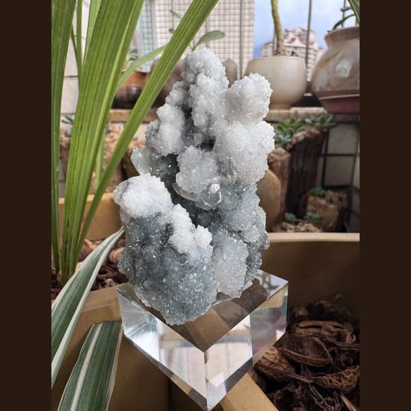 White Apophyllite with Quartz India 7.0 cm — alternate view