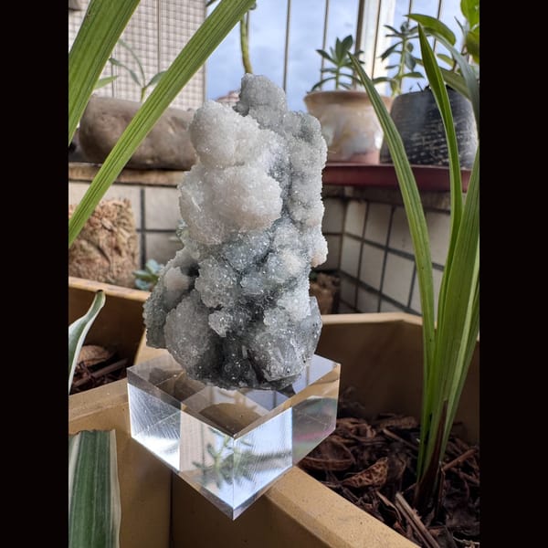White Apophyllite with Quartz India 7.0 cm — detail view