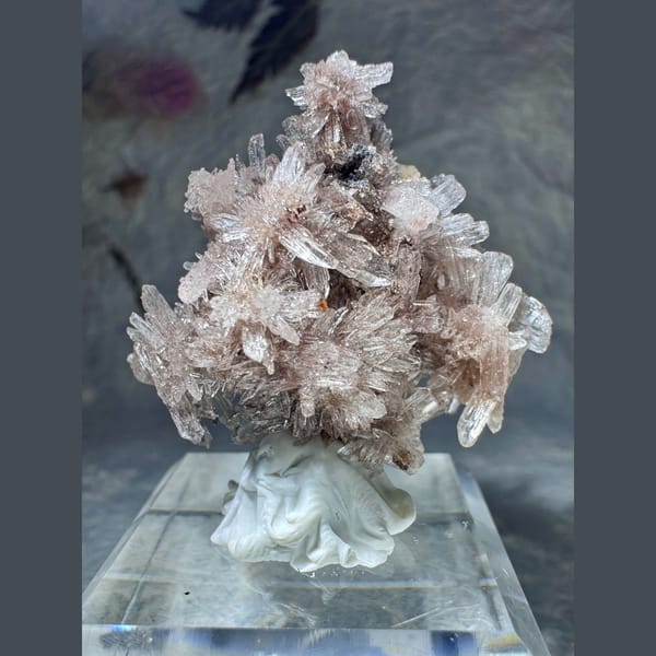 Pale Pink Creedite Spray 3.3 cm — complete view