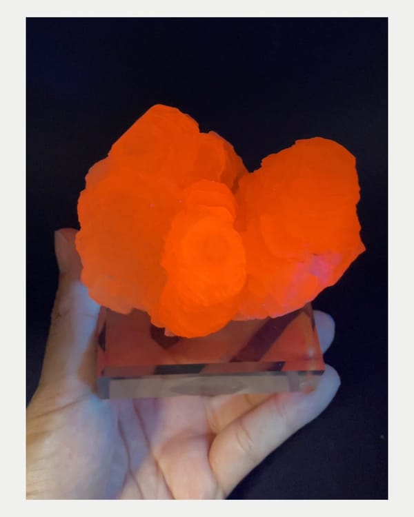 Complete ultraviolet-light view showing the supplier-recorded fluorescence