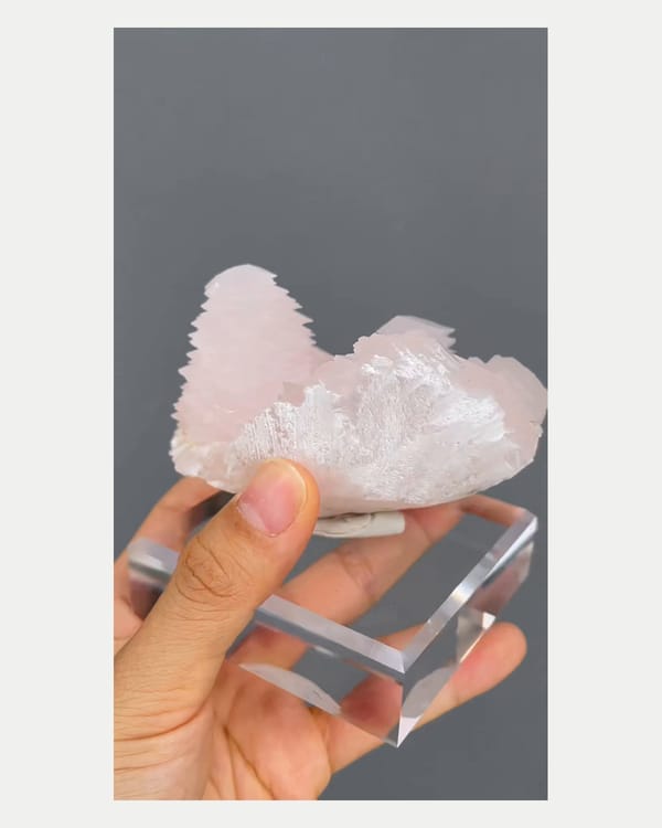 Complete underside-reverse view of broad manganoan calcite cluster