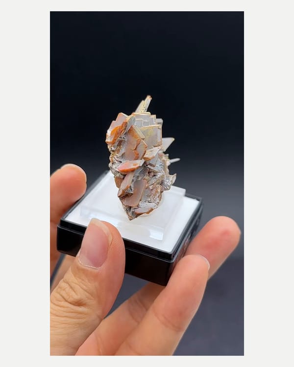 Complete opposite-face view of the exact mounted wulfenite specimen