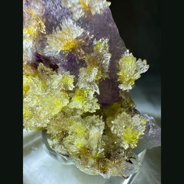 Creedite with Carlhintzeite and Purple Fluorite 5.0 cm — detail view