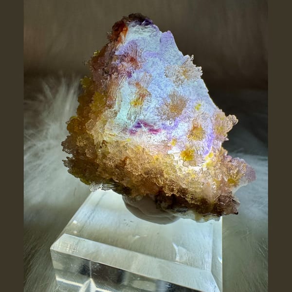 Creedite with Carlhintzeite and Purple Fluorite 5.0 cm — detail view