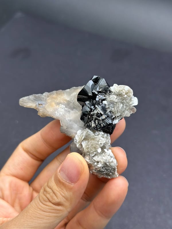 Complete front oblique view showing reflective black cassiterite faces beside pale calcite