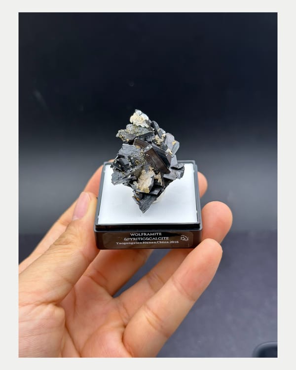 Complete front view of Yaogangxian wolframite with calcite and pyrite
