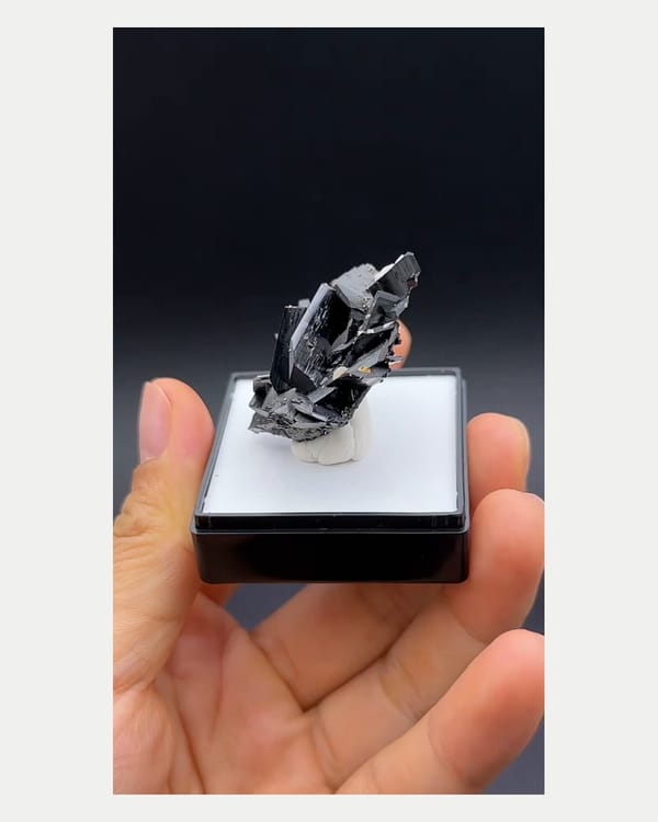 Complete left side view of Yaogangxian wolframite cluster