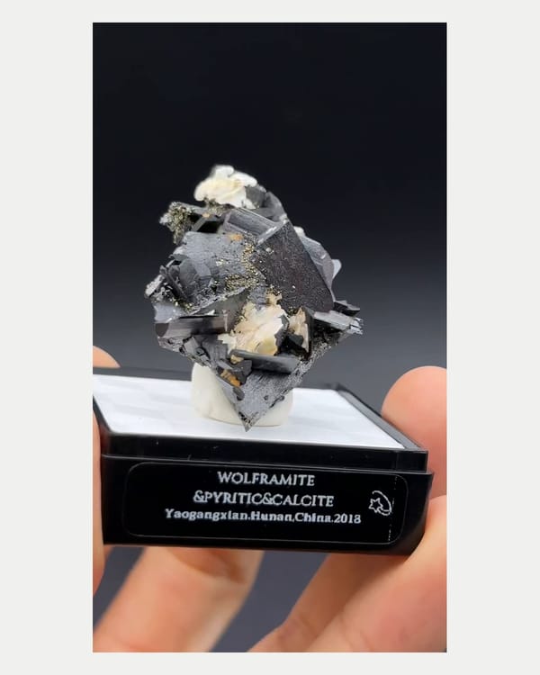 Complete reverse oblique view of wolframite calcite and pyrite