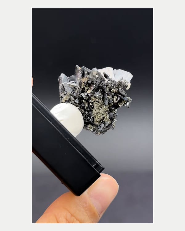 Complete reverse view of dark wolframite with pale calcite