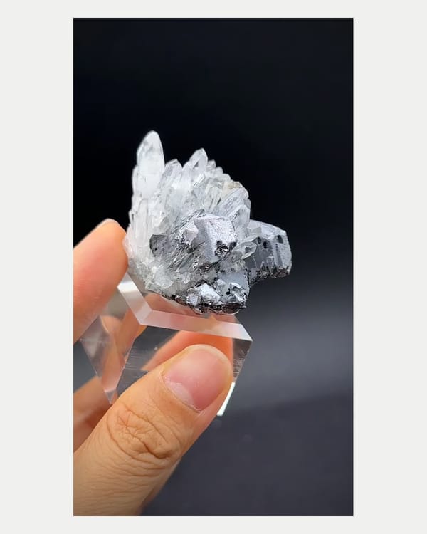 Complete left oblique view of galena with quartz crystals