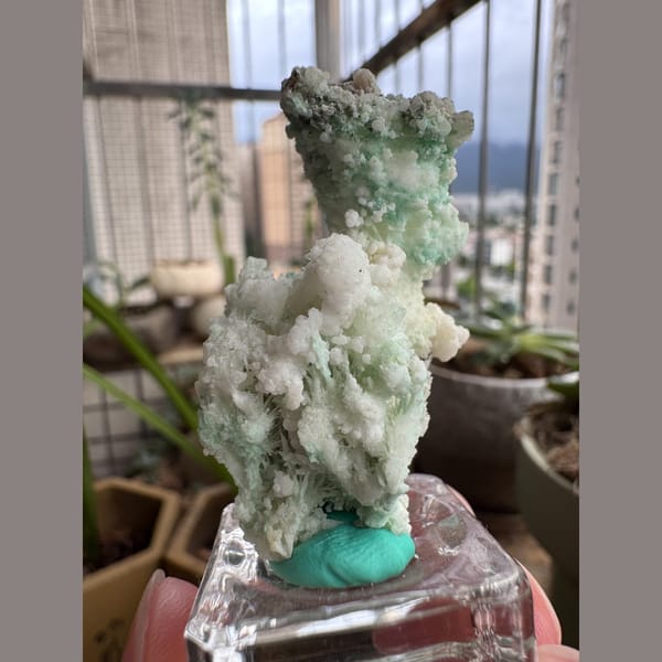 Blue-Green Gypsum, White Flowers 4.0 cm — detail view