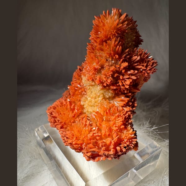 Orange-Red Calcite Cluster 5.5 cm — detail view