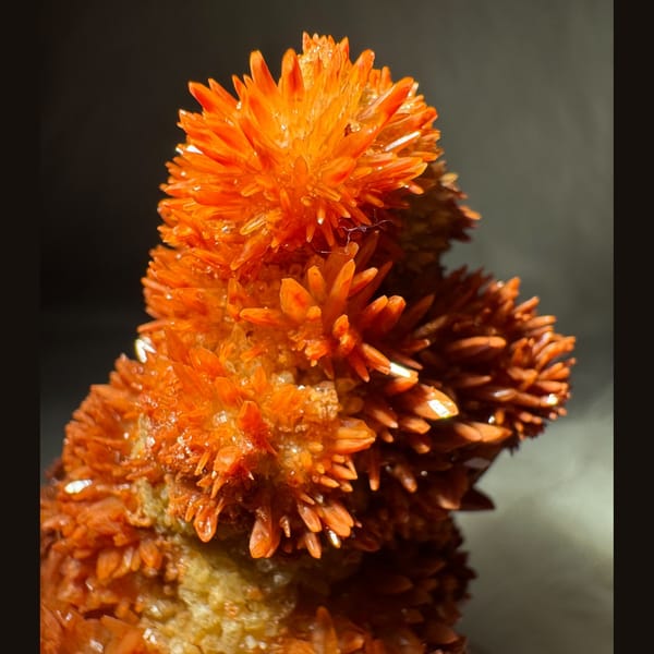 Orange-Red Calcite Cluster 5.5 cm — detail view