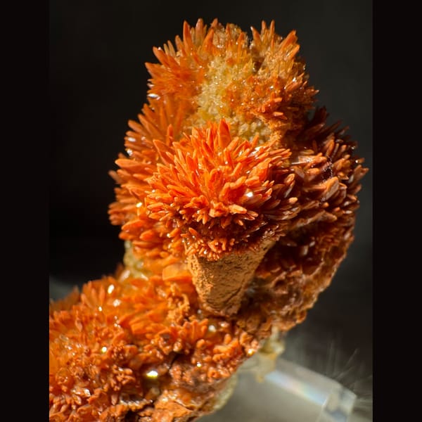 Orange-Red Calcite Cluster 5.5 cm — detail view