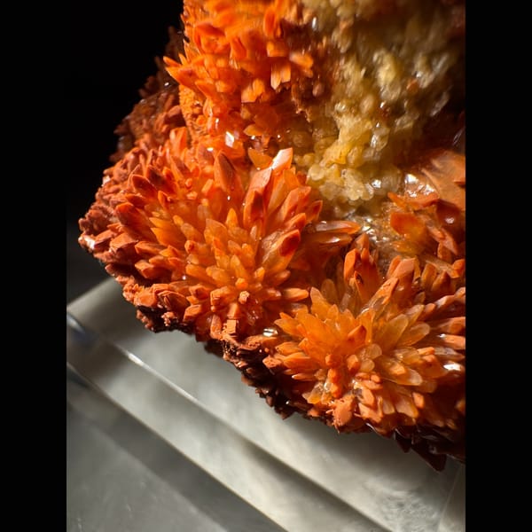 Orange-Red Calcite Cluster 5.5 cm — detail view