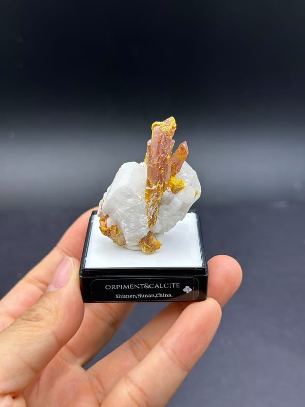 Complete front view of amber-gold orpiment crystals with white calcite from Shimen Hunan