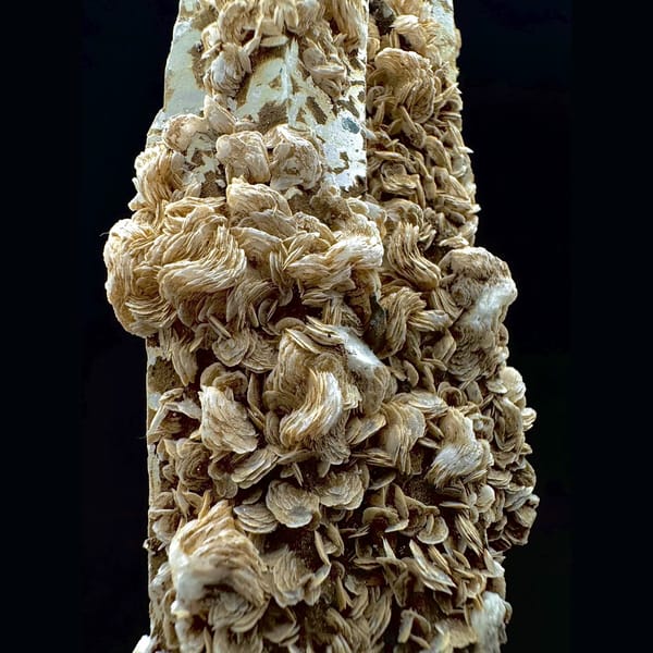 Tall quartz with petal calcite from Inner Mongolia — detail view
