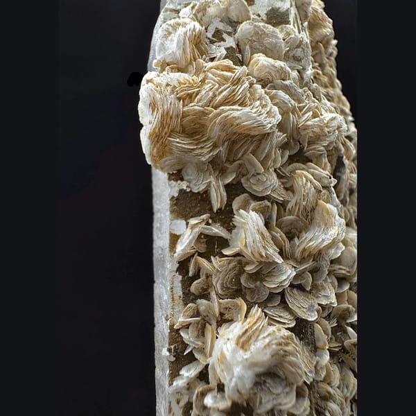 Tall quartz with petal calcite from Inner Mongolia — detail view