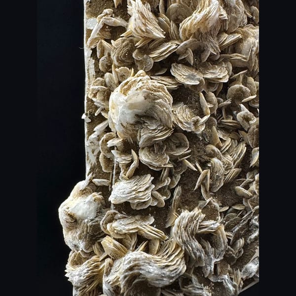 Tall quartz with petal calcite from Inner Mongolia — detail view