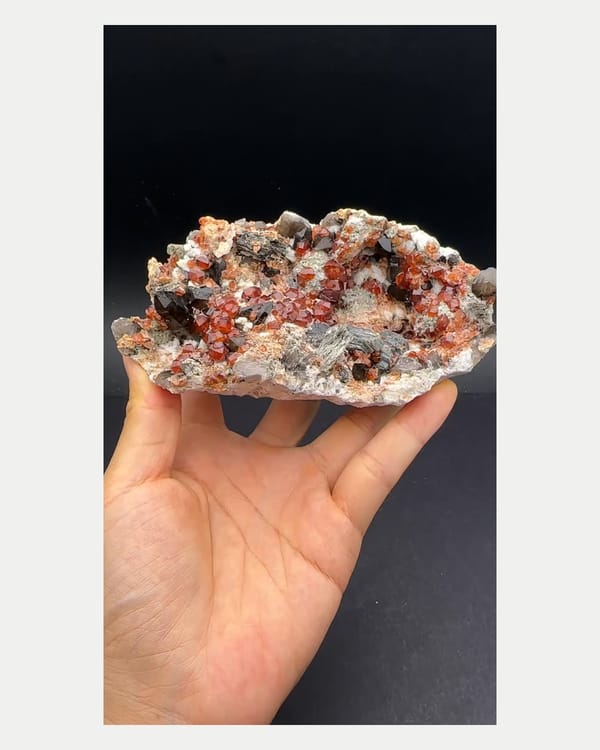Complete front view of smoky quartz with spessartine garnet