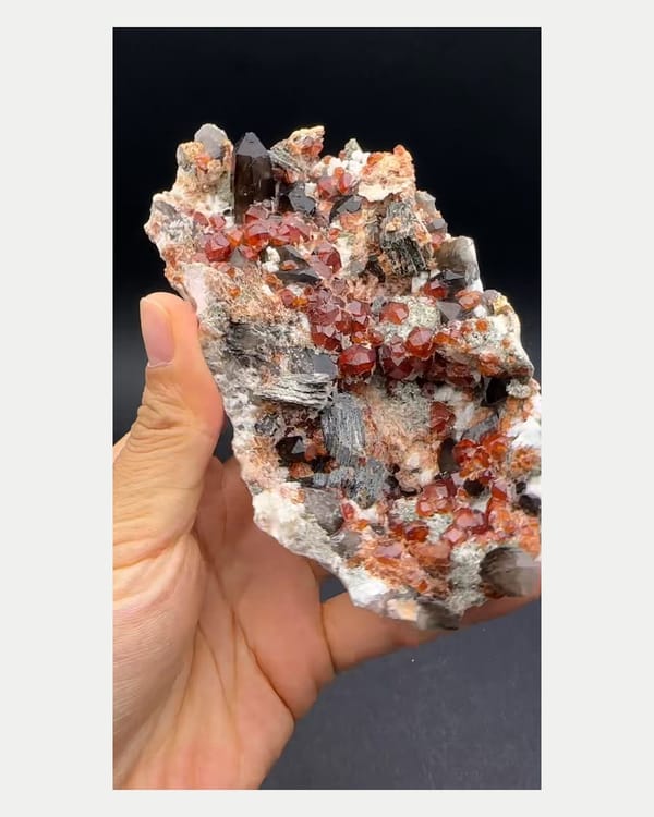 Complete left oblique view of smoky quartz with spessartine garnet