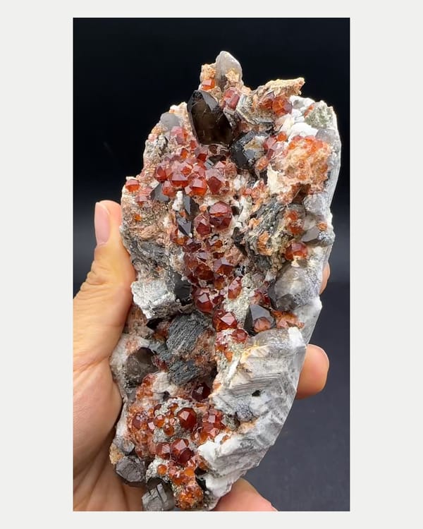 Complete reverse view of smoky quartz with spessartine garnet