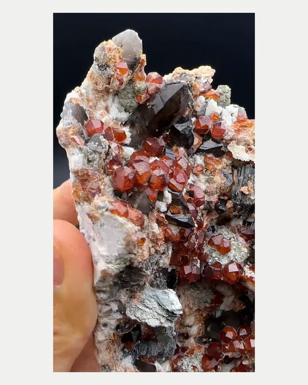 Complete right oblique view of smoky quartz with spessartine garnet