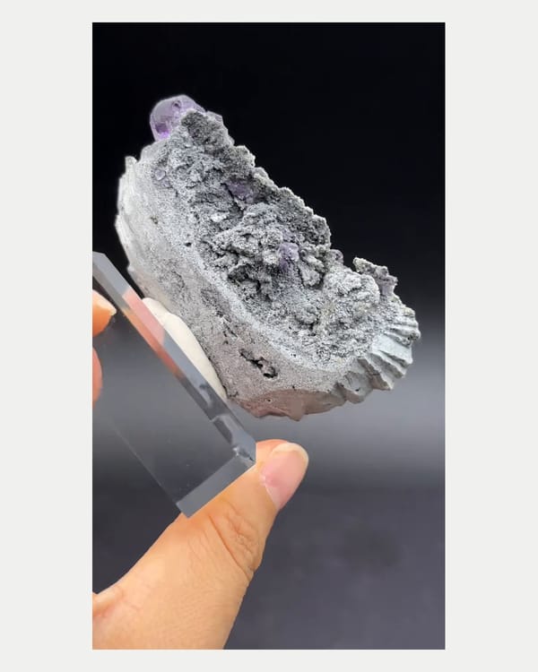 Complete reverse view of broad Fujian fluorite matrix plate