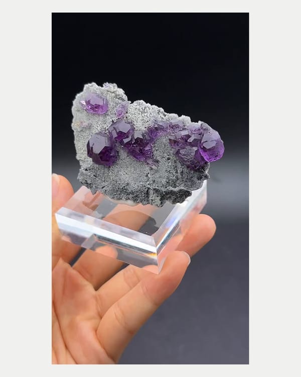 Complete right oblique view of purple-blue fluorite crystals