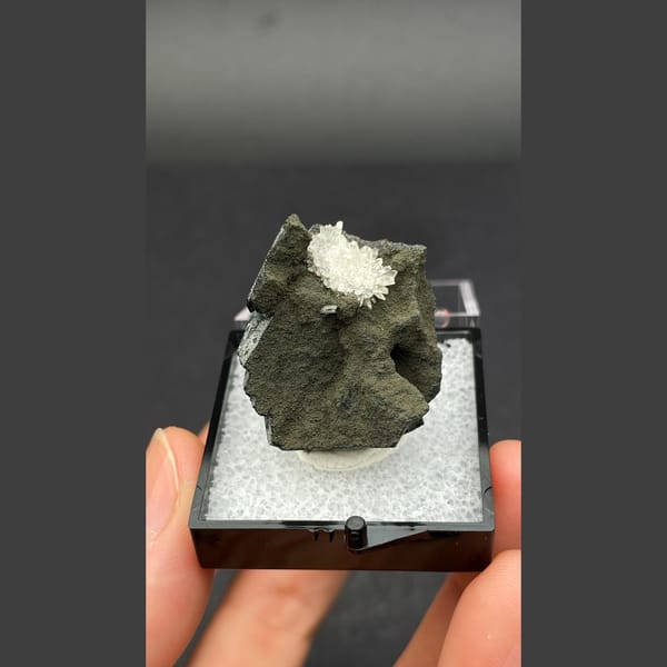 Flower-like white calcite crystal group on dark matrix from Vietnam — complete view