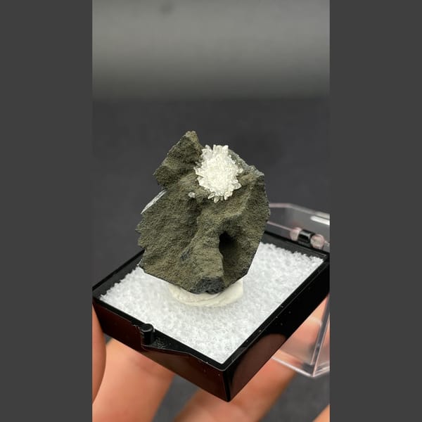 Flower-like white calcite crystal group on dark matrix from Vietnam — alternate view