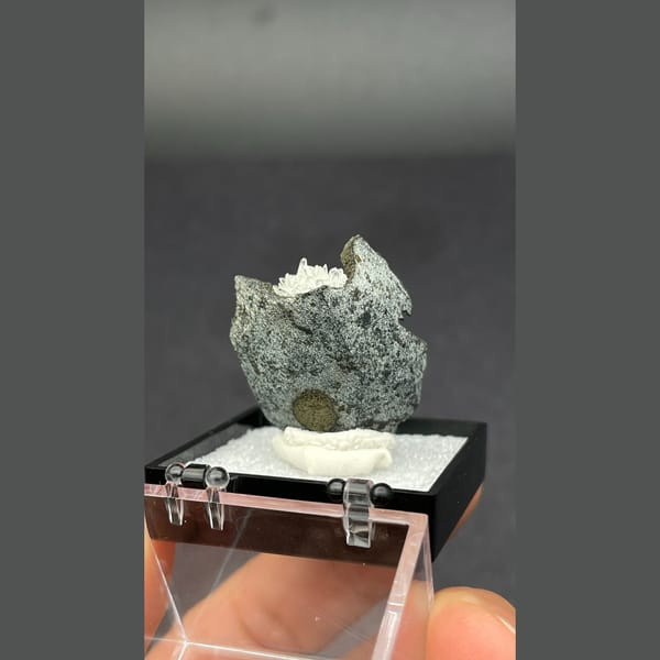 Flower-like white calcite crystal group on dark matrix from Vietnam — alternate view