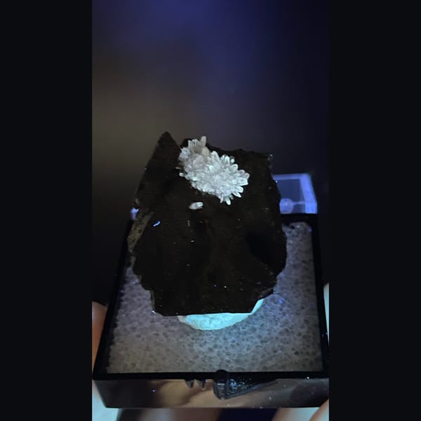 Flower-like white calcite crystal group on dark matrix from Vietnam — detail view