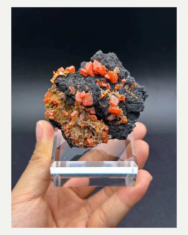 Complete front view of orange wulfenite on dark matrix from Kumutag