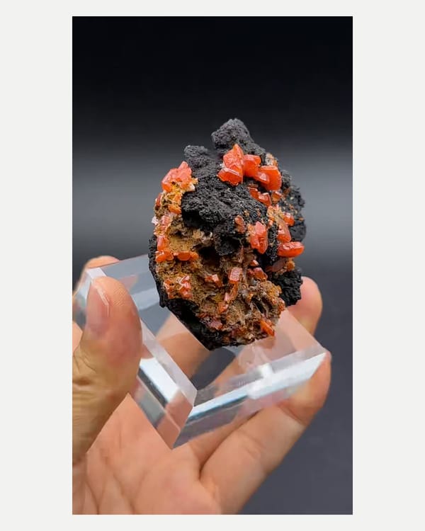 Complete side view of the exact orange wulfenite specimen from Kumutag