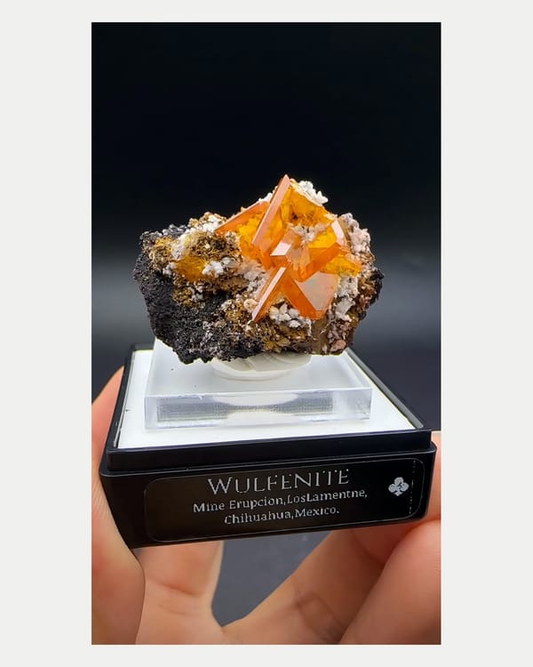 Complete front view of orange wulfenite crystal cluster