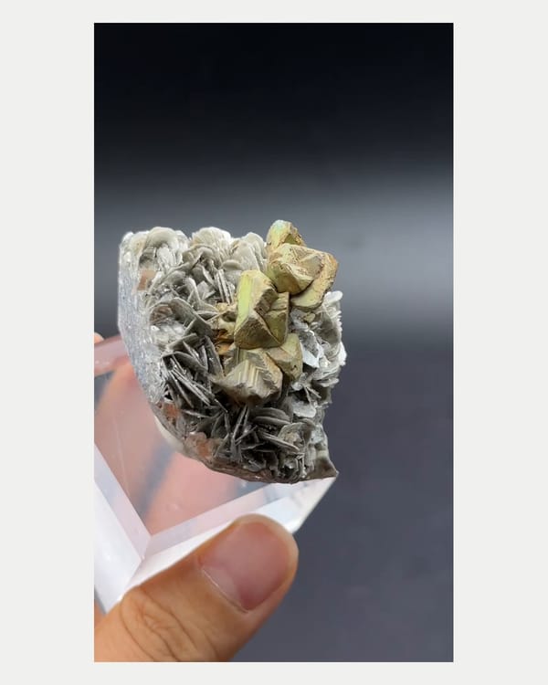 Complete left oblique view of kesterite and mushistonite on mica
