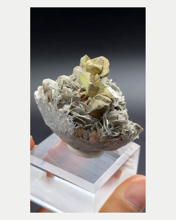 Complete reverse view of kesterite and mushistonite on mica