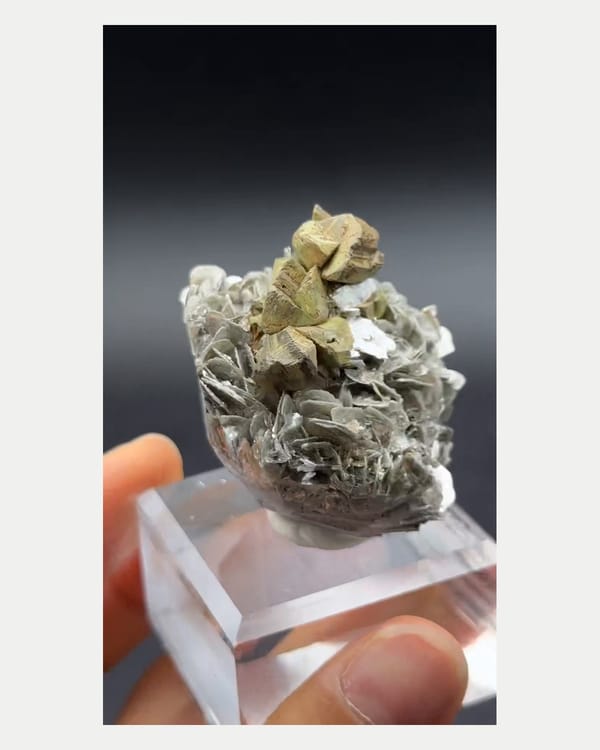 Complete right oblique view of kesterite and mushistonite on mica