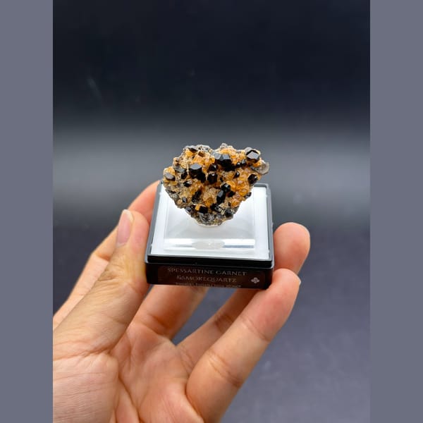 Smoky quartz with orange spessartine garnet from Tongbei, Fujian — complete view